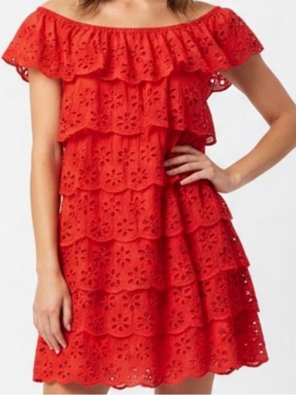 Show Me Your MuMu Lucy Mini Dress  Tiered Cherry Eyelet Sz M Side Zip | NWT